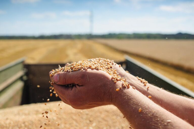 Haloub Feed Mill Factory