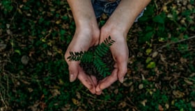Sustainable Value